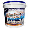 Pro Nutrition Pro Whey 4000 g