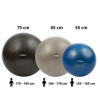Toorx Gym Ball PRO fitnesz labda 65 cm
