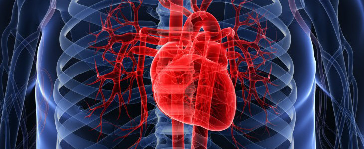 A szívbetegeknek még akkor is árt a mozgásszegény életmód, ha fittek