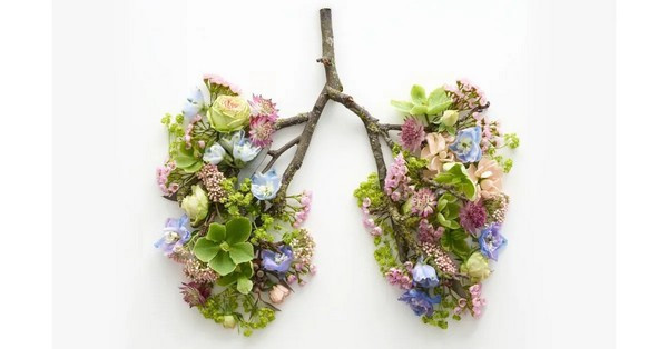 A légzés az egyetlen testi folyamat, amely egyszerre automatikus és tudatos. Ismerd meg, hogyan befolyásolja a tested és a mentális egyensúlyt.