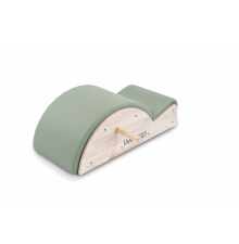 Toorx Liveness Pilates PTX-1700 Spine Corrector