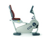 TechnoGym Recline Forma 500 háttámlás szobakerékpár 2.