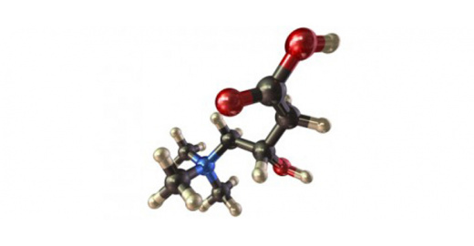 L-Carnitin - hatékony vagy csak izzaszt?